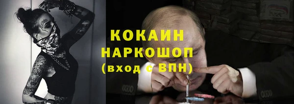 мяу мяу мука Арсеньев