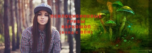 мяу мяу мука Арсеньев