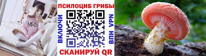 Купить  Назарово  Галлюциногенные грибы прущие грибы 